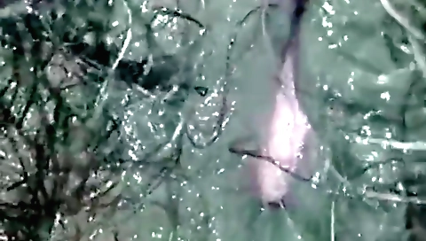 Amateur amateur girlfriend's pussy fingered so happy