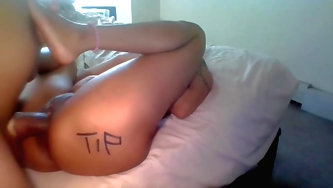 Caméra amateur avec un petit chien sur un tableau en vidéo