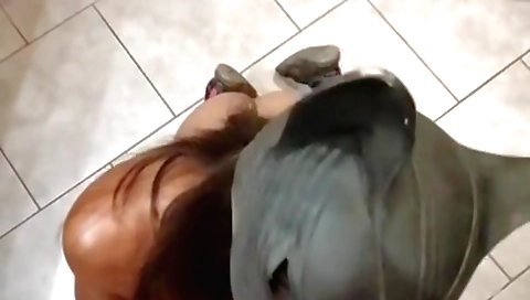 Indian slut in a bikini enjoys some deepthroat with guy