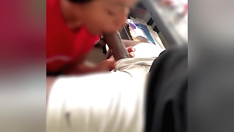 Amateur brunette sucking my cock and receiving some hard cock