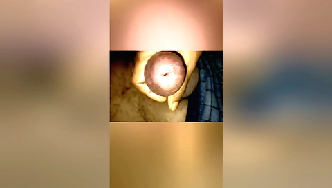 Indian lady gives a blowjob and receives her pussy fucked hard