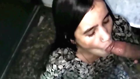 Indian sex video shows a hairy brunette getting fucked